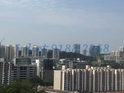 Blk 38 Jalan Rumah Tinggi (Bukit Merah), HDB 4 Rooms #89378342